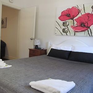 Comfy Two-Bedroom Apartment